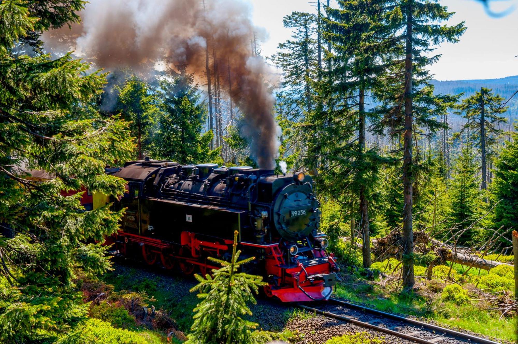 Regiohotel Harzresidenz Wernigerode Buitenkant foto